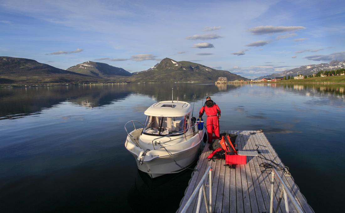 Hansnes Havfiske Ngoại thất bức ảnh